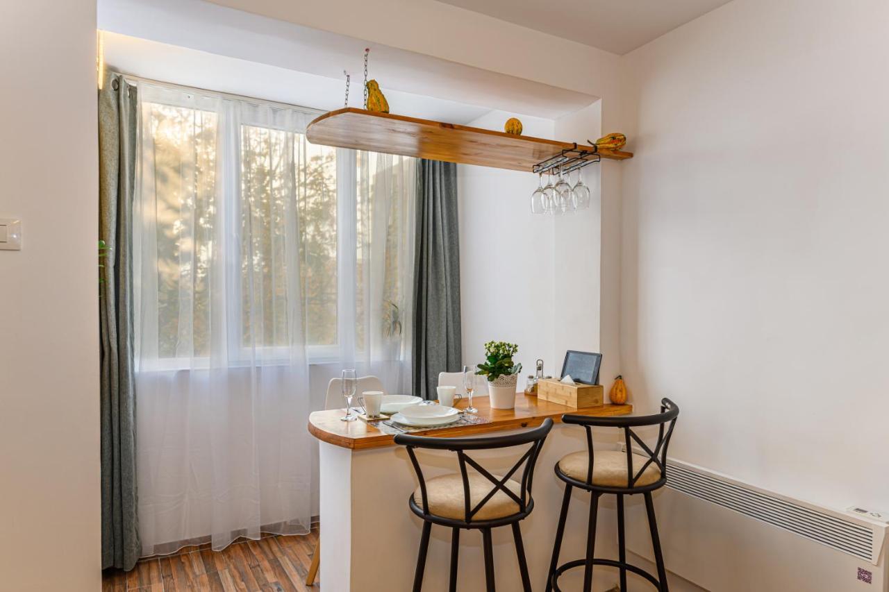 Jad - Family - Apartments & Studios Braşov Dış mekan fotoğraf