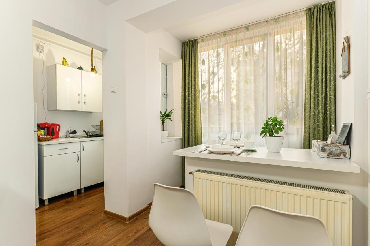 Jad - Family - Apartments & Studios Braşov Dış mekan fotoğraf