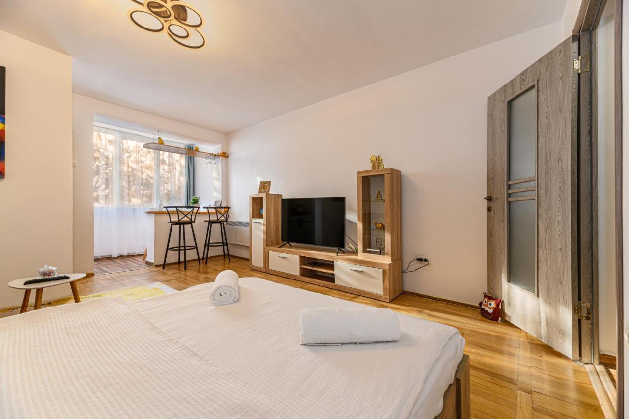 Jad - Family - Apartments & Studios Braşov Dış mekan fotoğraf
