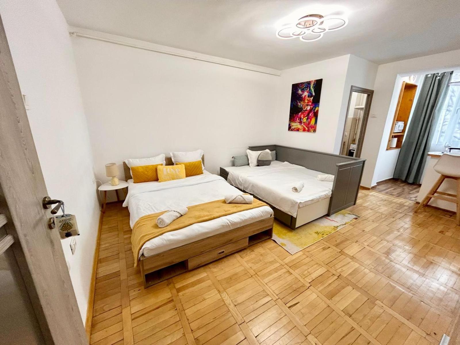 Jad - Family - Apartments & Studios Braşov Dış mekan fotoğraf